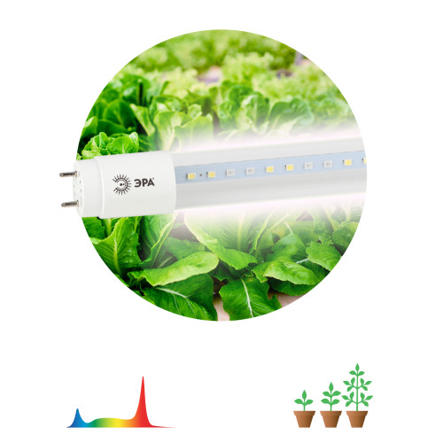 Фитолампа для растений светодиодная ЭРА FITO-9W-Ra90-T8-G13-NL полного спектра