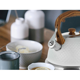 Чайник 2,7л нержавеющая сталь со свистком и ручкой soft touch 1098