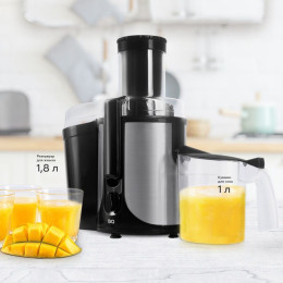Соковыжималка BQ J1003 1800Вт 2 скорости черно-стальной