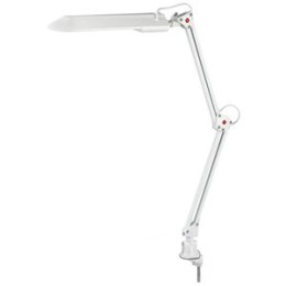Настольный светильник на струбцине белая ЭРА NL-201-G23-11W