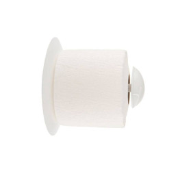 Держатель для туалетной бумаги Aqua снежно-белый