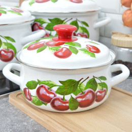 Набор кастрюль "Вишневый сад-3" 2л, 3л, 4л