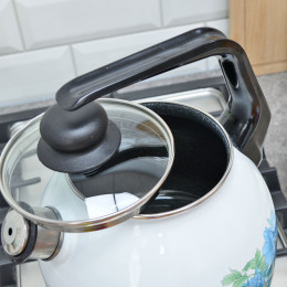 Чайник 3л со свистком "Голубой лотос"