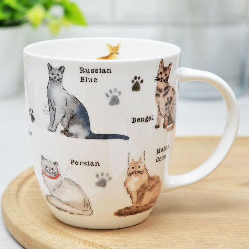 Кружка 420мл Cats форма Дерби