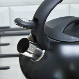 Чайник 2,5л нержавеющая сталь со свистком и нейлоновой ручкой