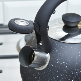 Чайник 2л нержавеющая сталь со свистком и нейлоновой ручкой