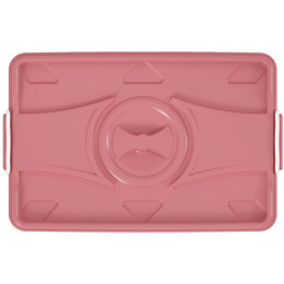 Контейнер 50л с крышкой "Царевны"