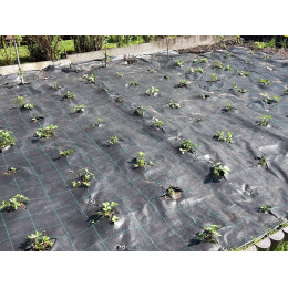 Агроткань №150 ширина 1,6м длина 100м