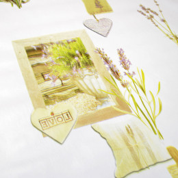 Клеенка PALOMA 1,37*20м PL-003