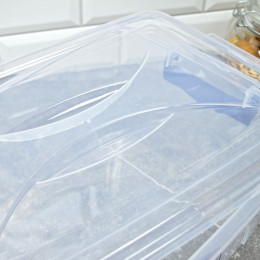 Контейнер 11,5л "Star box"