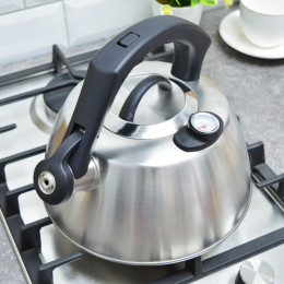 Чайник 2,5л со свистком Napoli P-650205