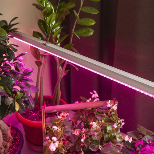 Фитолампа - светильник ультрафиотелетовая для растений светодиодная линейная ЭРА FITO-14W-Т5-N