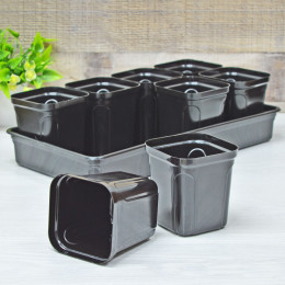 Набор для рассады "Пианто" 8 стаканчиков 645мл на поддоне