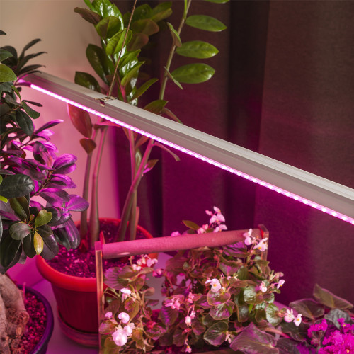 Фитолампа - светильник ультрафиотелетовая для растений светодиодная линейная ЭРА FITO-16W-Т5-N