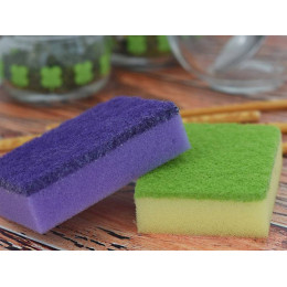 Губка для мытья посуды универсальная 10шт Master FRESH