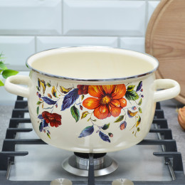 Кастрюля 4л Anemone тм Appetite