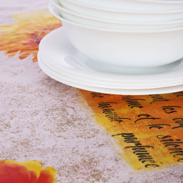 Скатерть 100*140 ПВХ PROVANCE микс