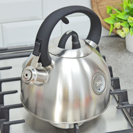 Чайник 2,6л со свистком нержавеющая сталь ручка soft-touch TM Appetite