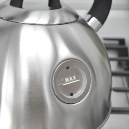 Чайник 2,6л со свистком нержавеющая сталь ручка soft-touch TM Appetite
