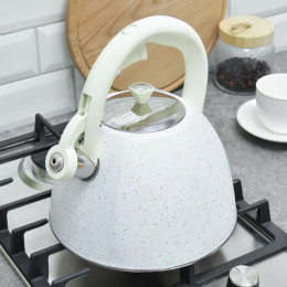 Чайник 2,7л нержавеющая сталь со свистком WR-9210