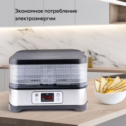 Сушилка для овощей и фруктов BQ FD1001, 5 поддонов 32*25см черно-стальная